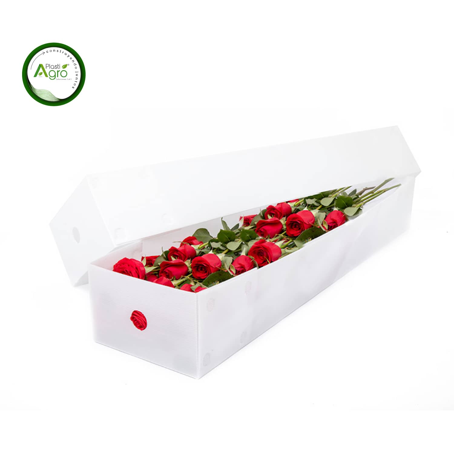 Caja de Carton Plast - Para Flores