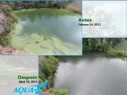 Aqua-T, Tratamiento biológico para estanques, lagos y lagunas. Cuñete x 6 bolsas (3 Libras)