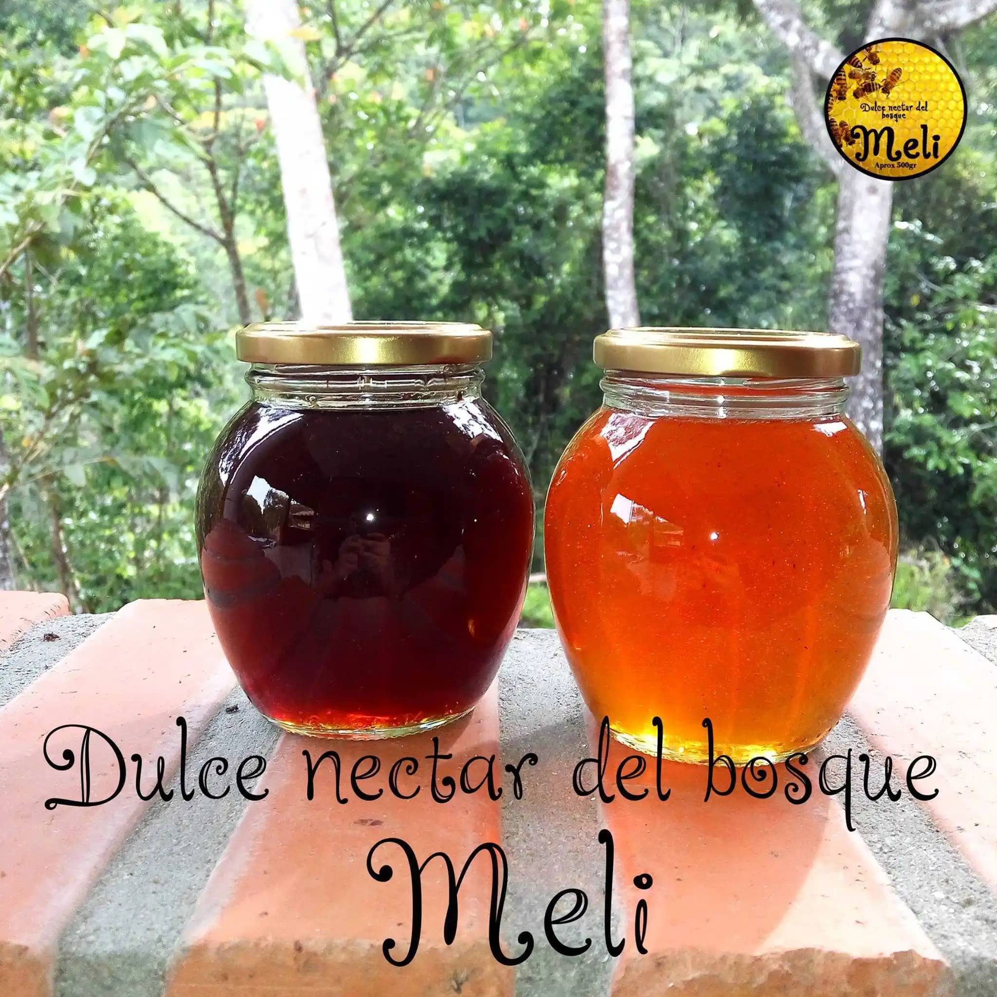 Venta de miel de abeja Andrés Celis X 300, 500 y 1250 Gr