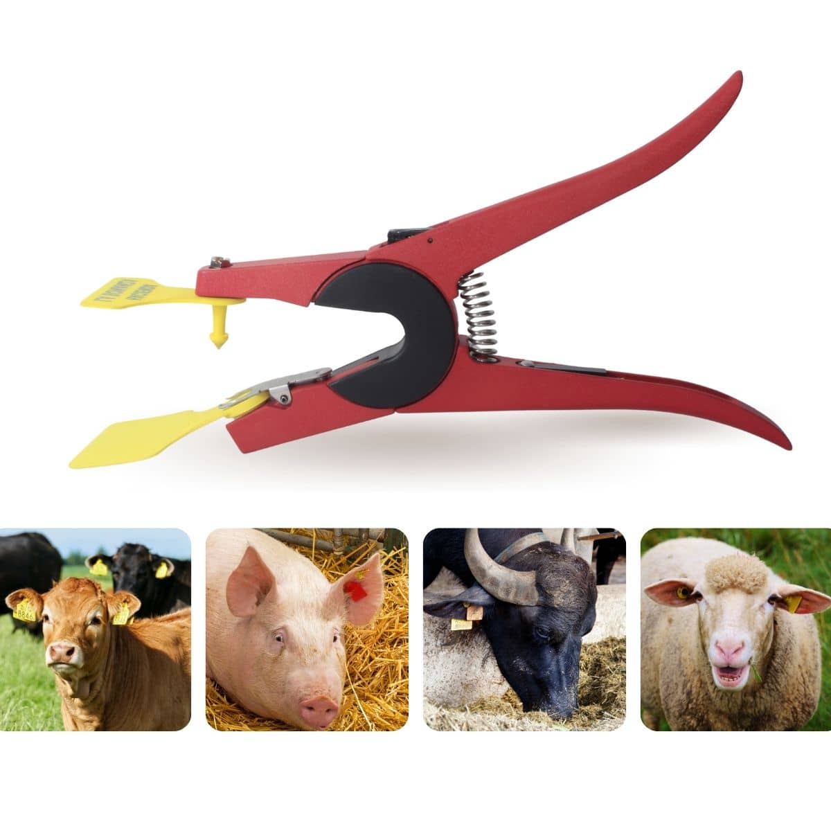 Pinza Chapeteadora Para Perforar Oreja De Animal