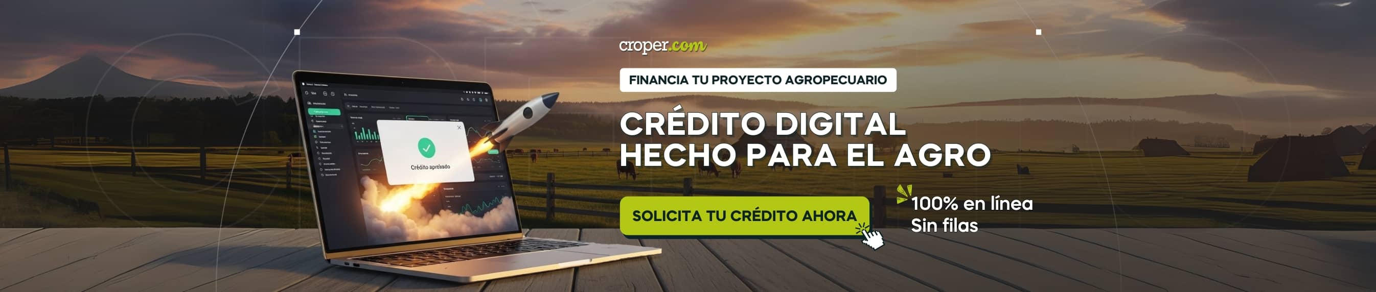 Crédito