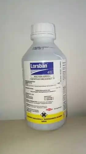 Insecticida Lorsban 4 EC organofosforado 1 litro