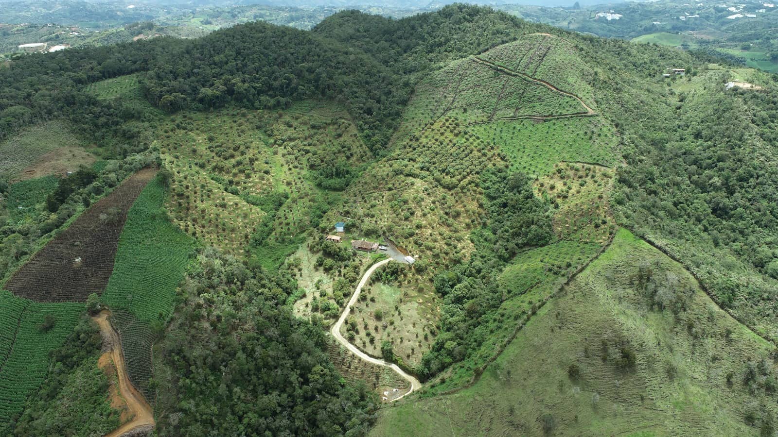 Finca de Aguacate Hass en Venta en Antioquia | Sol de Oriente