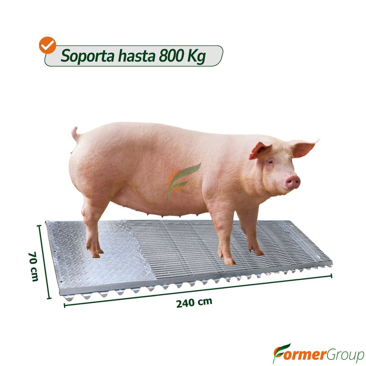 Piso En Acero Inoxidable Jaula Paridera Cerdas