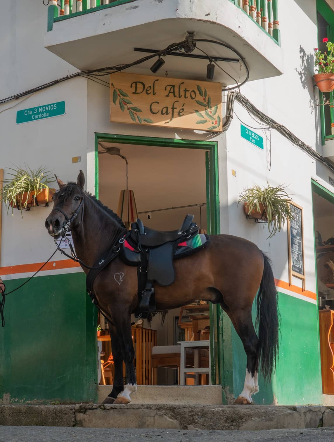 Tereque Apalache cabalgata MESACÉ Café