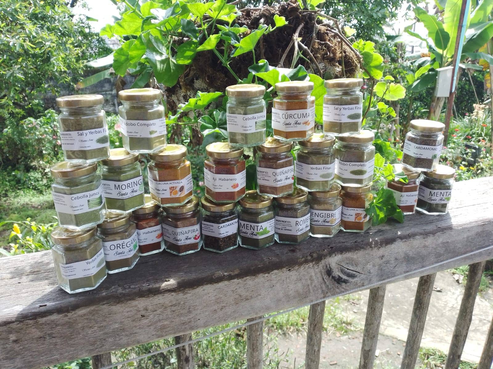 WhatsApp Image 2026-02-10 at 10.58.37 AM.jpeg