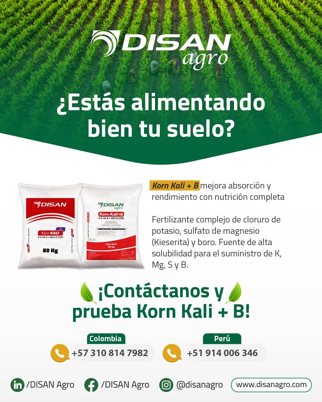 Korn-Kali Fertilizante Potasio Magnesio Azufre
