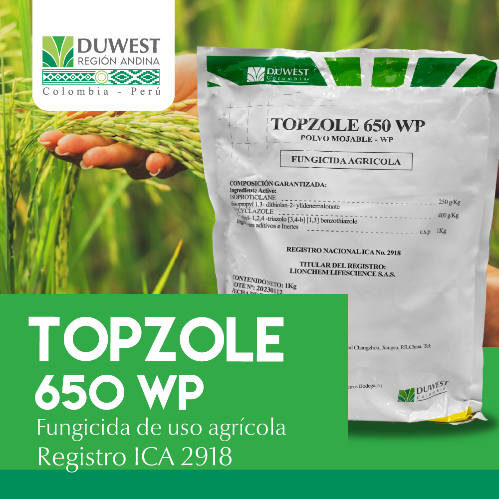 Fungicida Topzole x 1 Kg