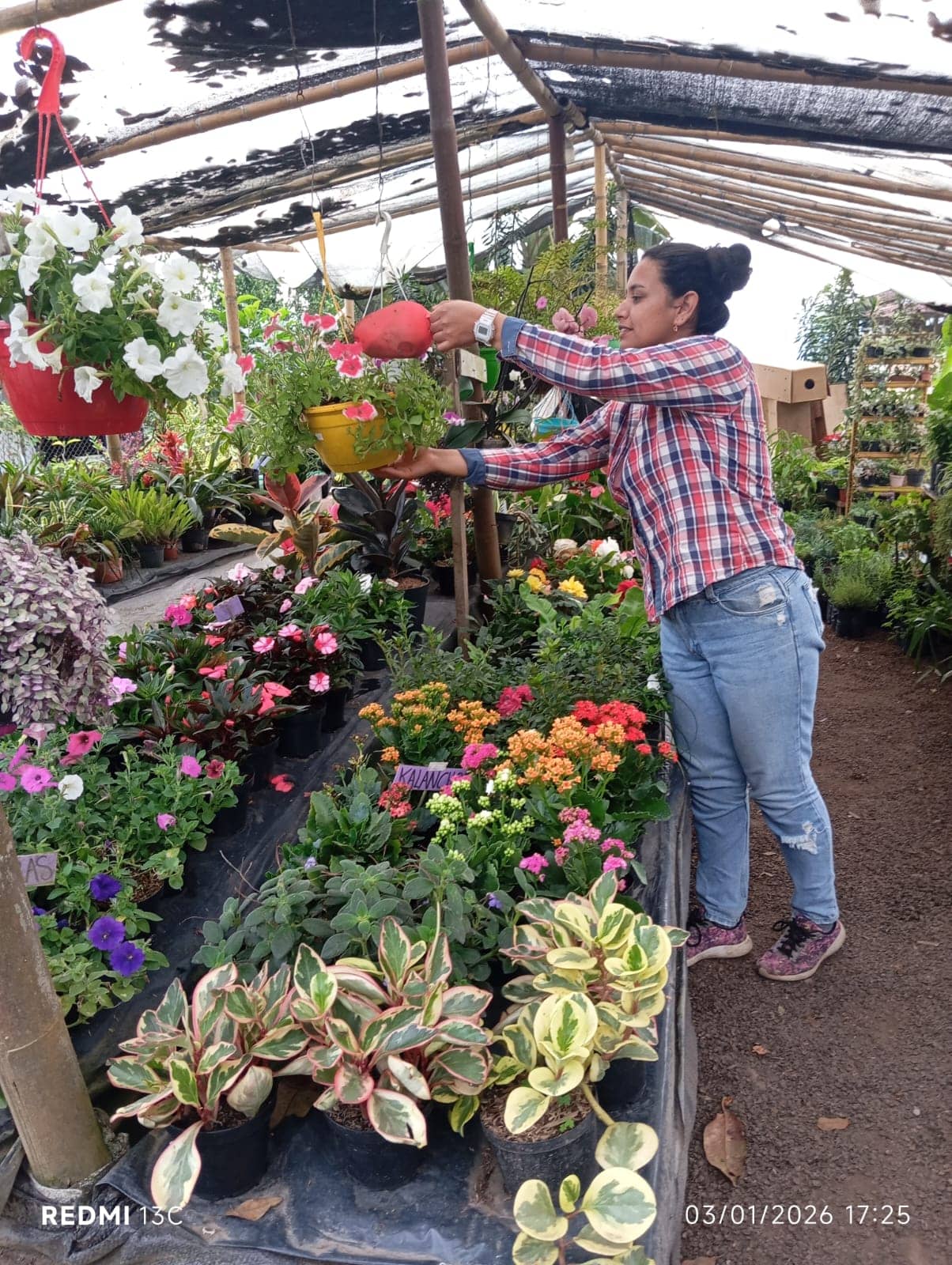 WhatsApp Image 2026-03-07 at 16.33.26.jpeg