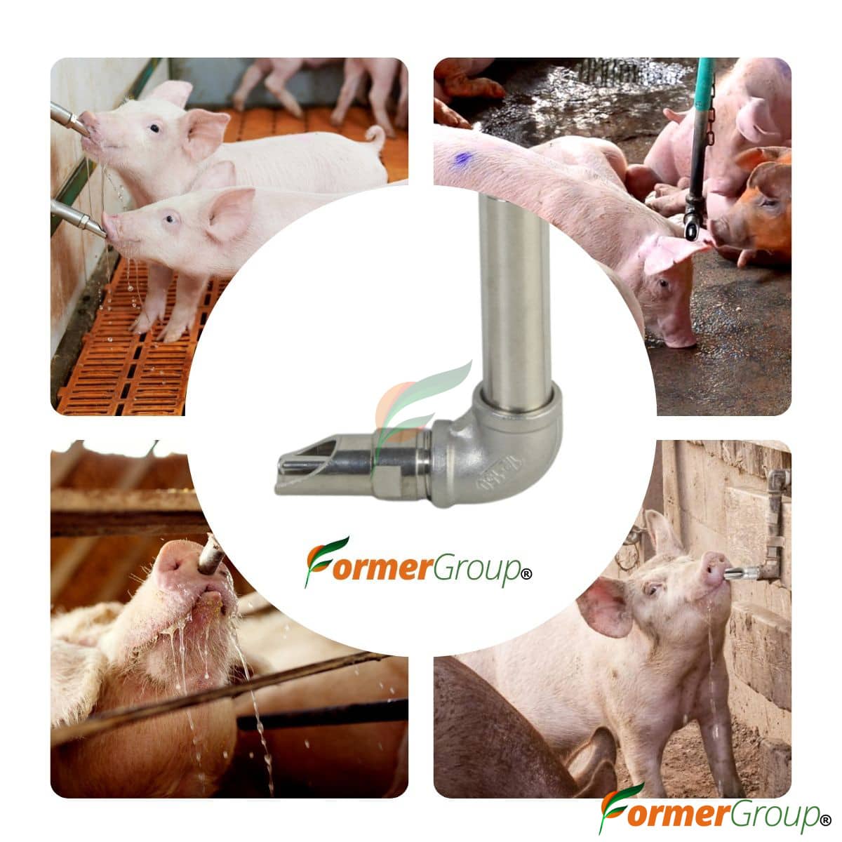 Kit Bebedero Lechones Chupo Interno 1/2 Codo 50cm Acero