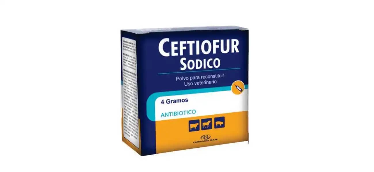 Antibiótico Ceftiofur Sodico X 4 Gr