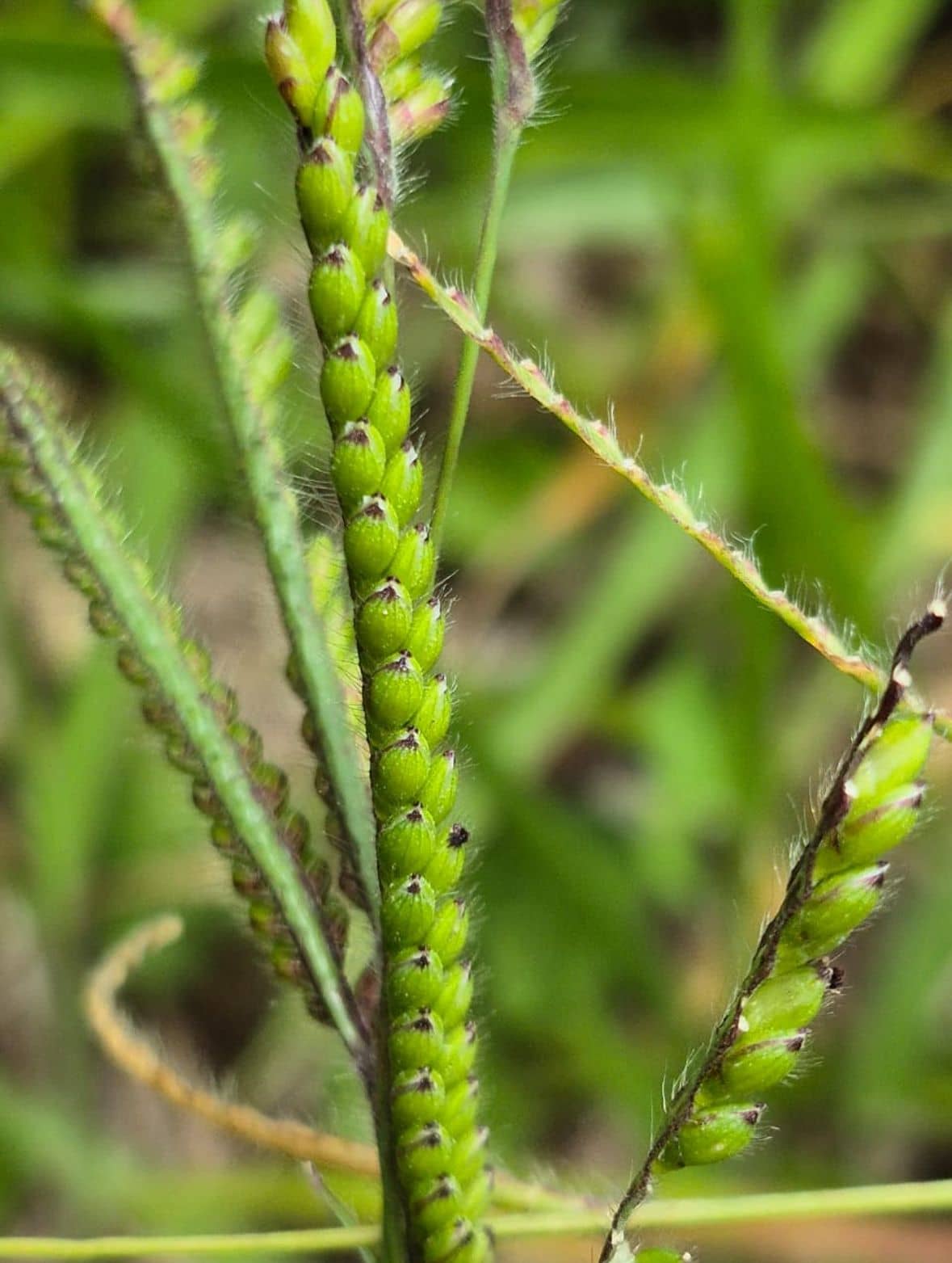 WhatsApp Image 2025-12-04 at 5.37.37 PM (2).jpeg