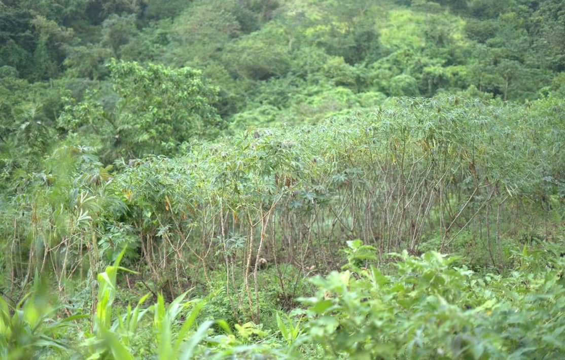 Captura de pantalla 2025-02-19 142136.png