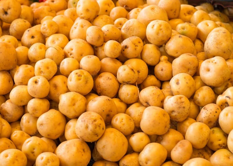 Papa criolla limpia