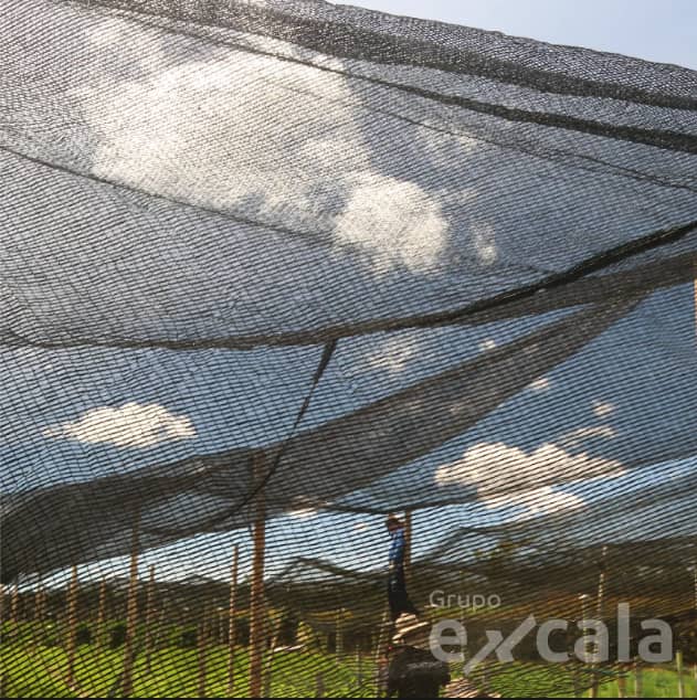 Tela Sombrío Polipropileno 25% Excala 3x100m UV4A