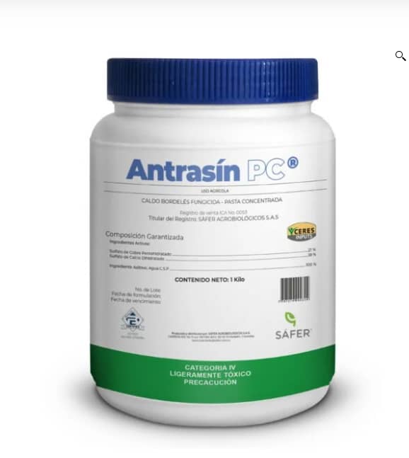 Antrasín – Fungicida sistémico contra antracnosis
