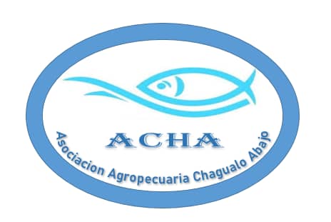 ACHA