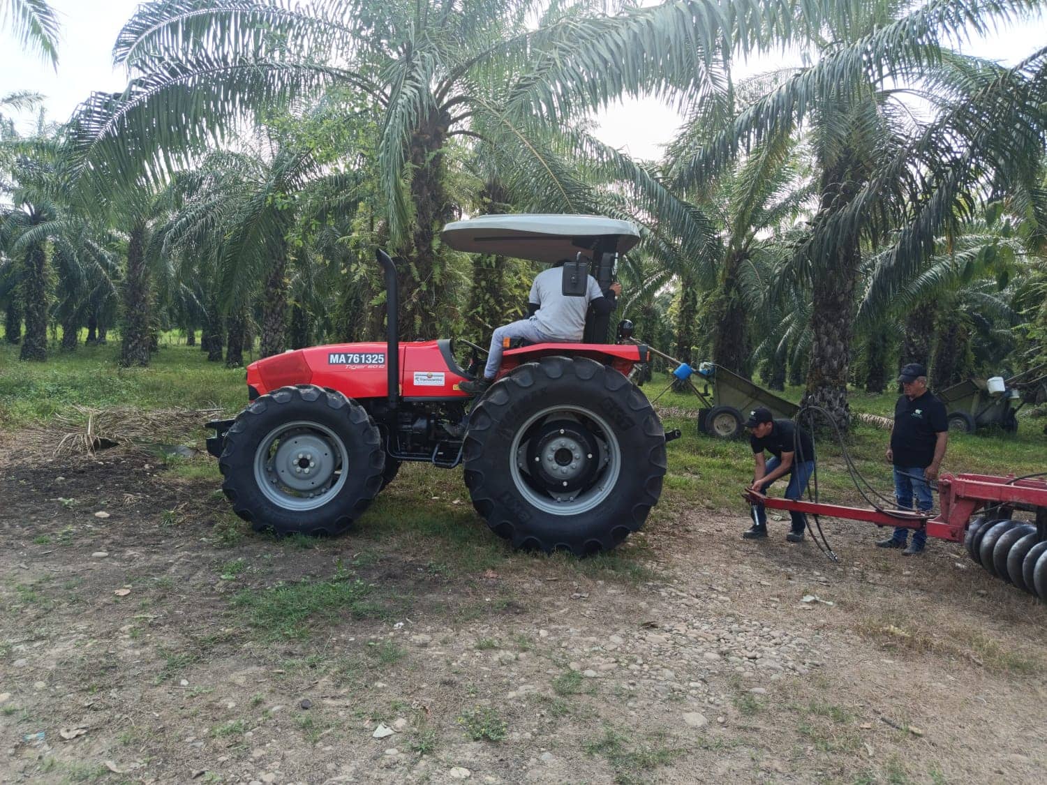 Tractor Agrícola Same TIGER 60 - 55 HP