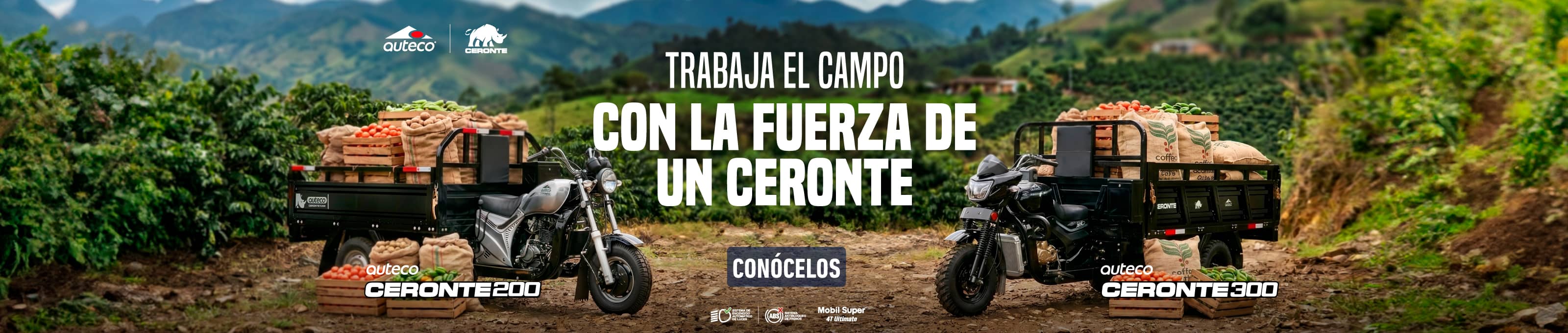 AUTECO CERONTE