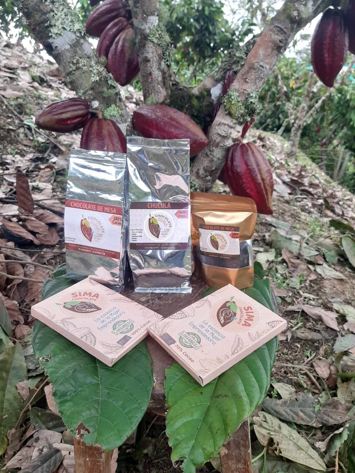 WhatsApp Image 2026-04-08 at 16.32.10.jpeg