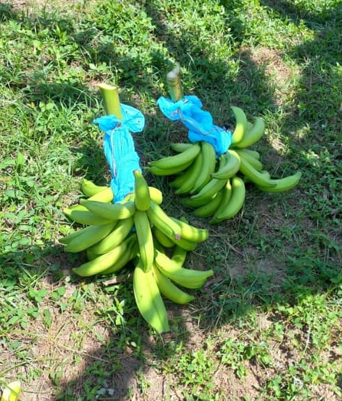 Captura de pantalla 2025-02-19 113850.png