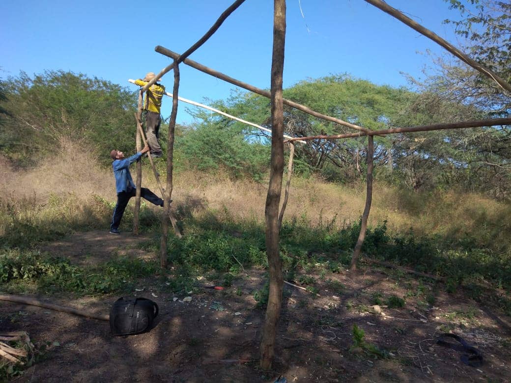 Imagen de WhatsApp 2025-02-21 a las 12.05.33_35bb31df.jpg