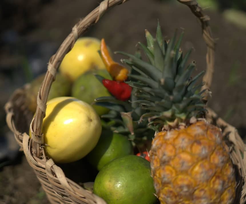 Captura de pantalla 2024-12-11 090508.png