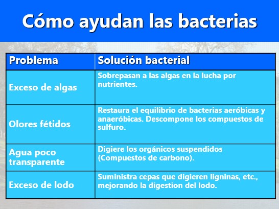 Aqua-T, Tratamiento biológico para estanques, lagos y lagunas. Envase x 2 bolsas (1 libra)