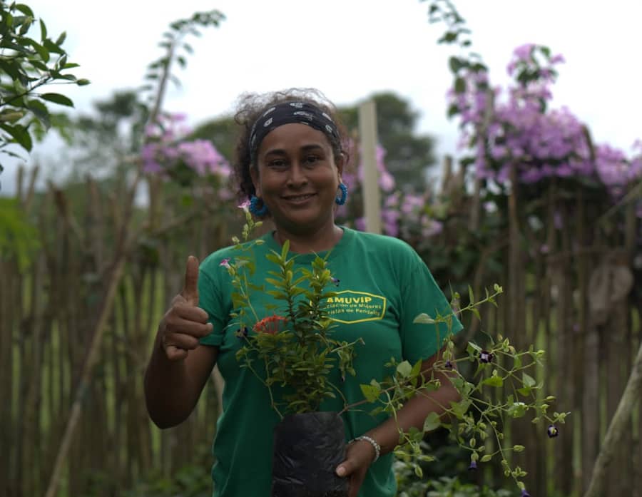 Captura de pantalla 2024-12-20 094923.png