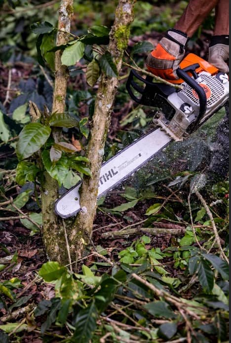 Motosierra STIHL MS 230 | Versátil para Cortes en Cultivos