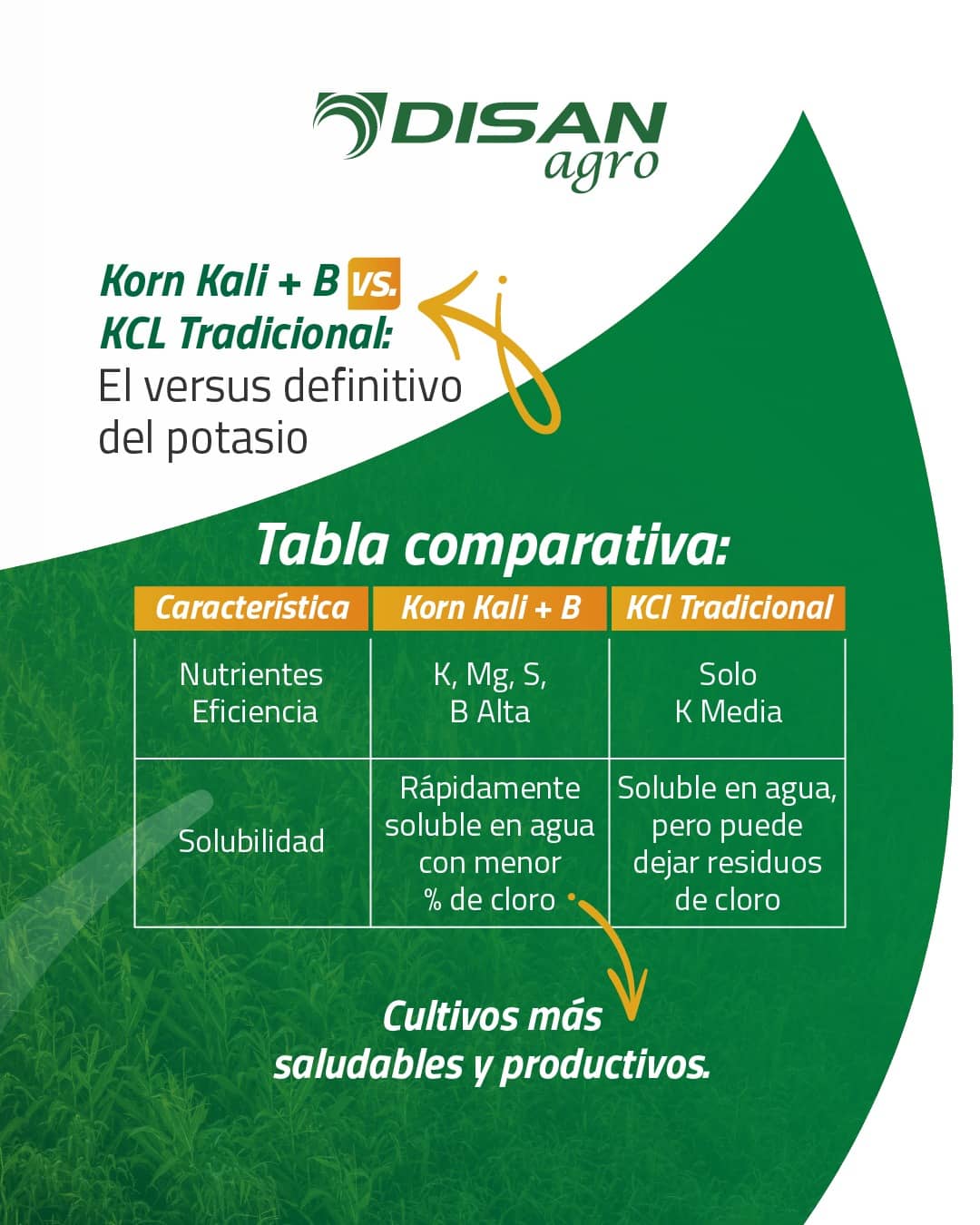 Korn-Kali Fertilizante Potasio Magnesio Azufre