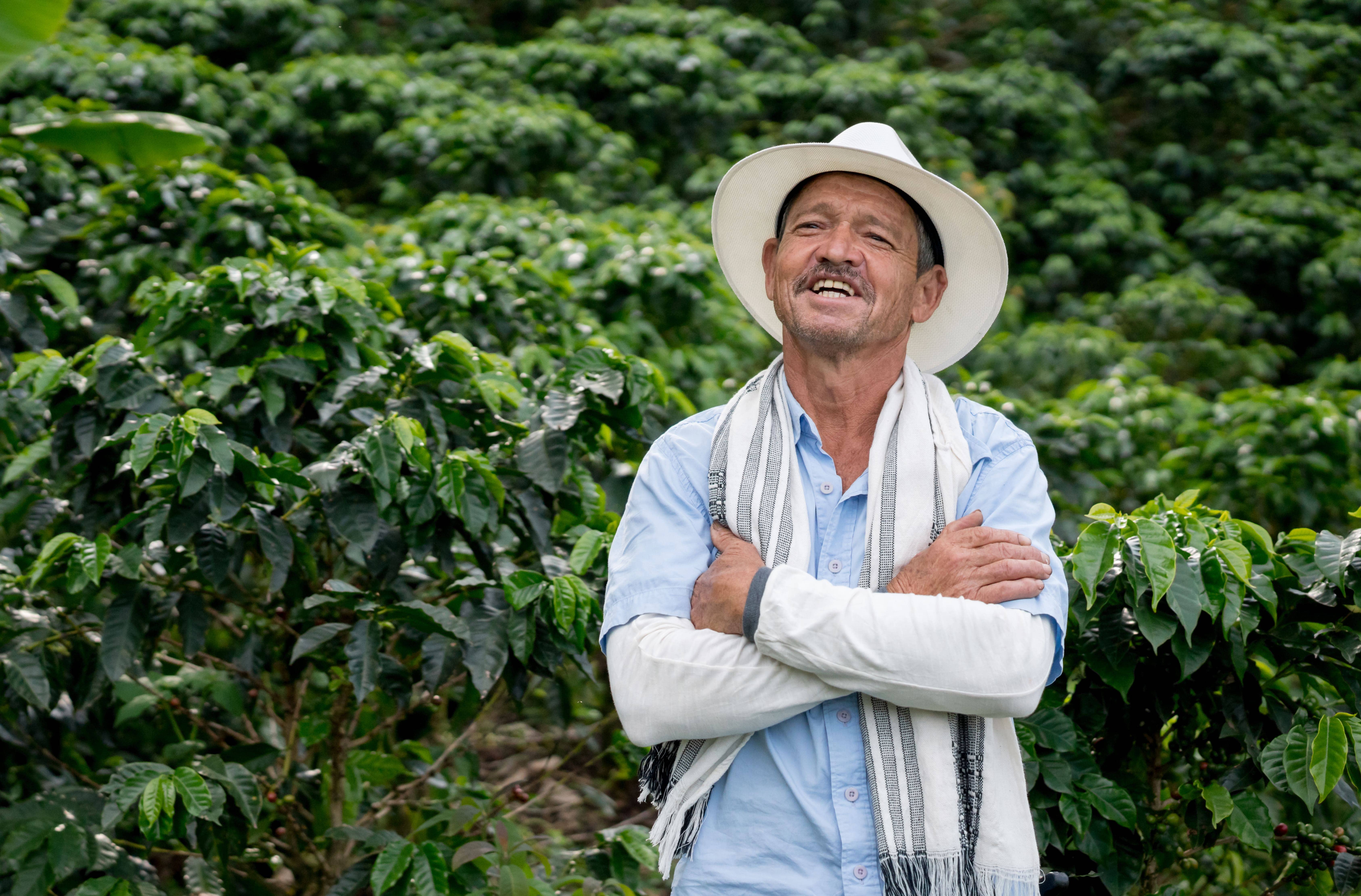 Tarjeta de crédito agropecuaria y cafetera