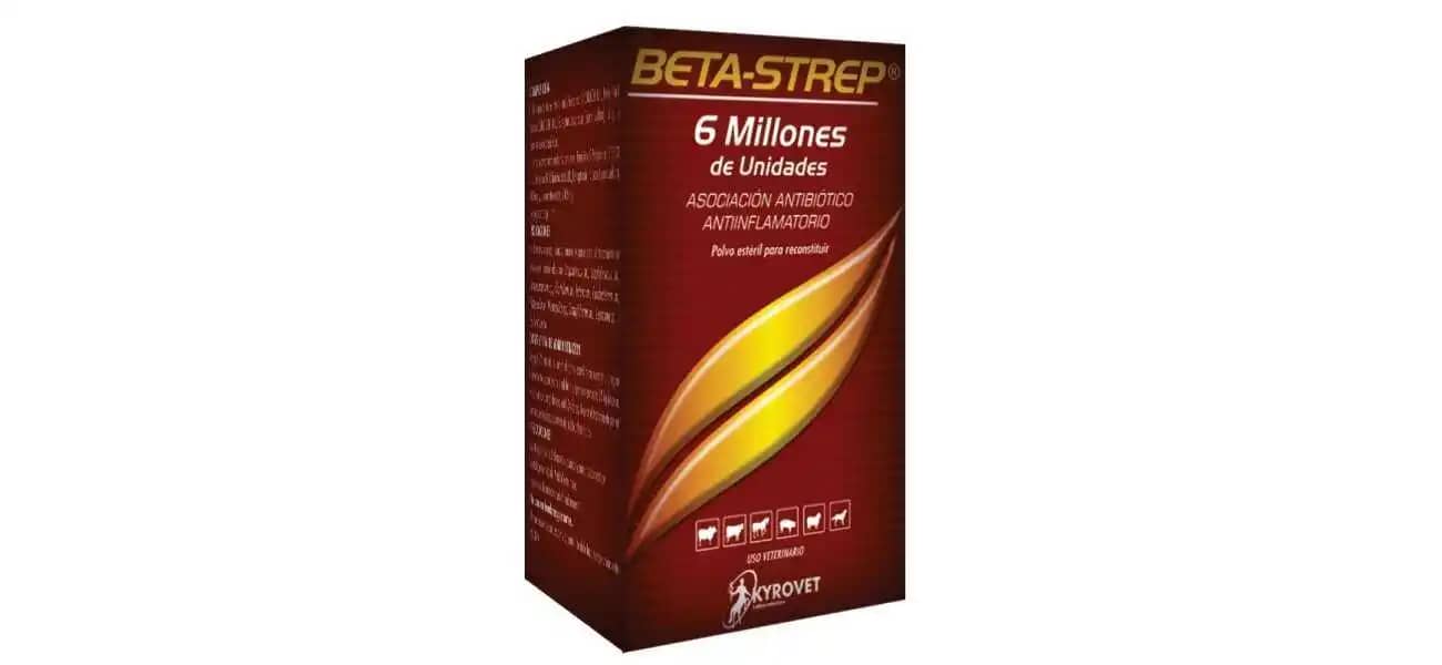 Antibiótico Beta-Strep X 6´Ui