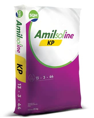 Fertilizante Amilsoline KP | Potasio para Hidroponía