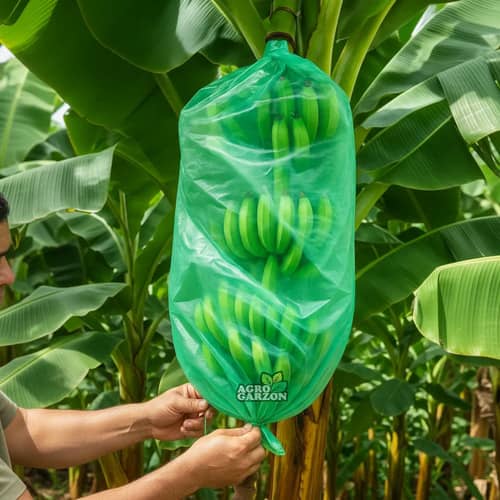 Bolsa Racimos Banano 50und Protector UV Insecticida