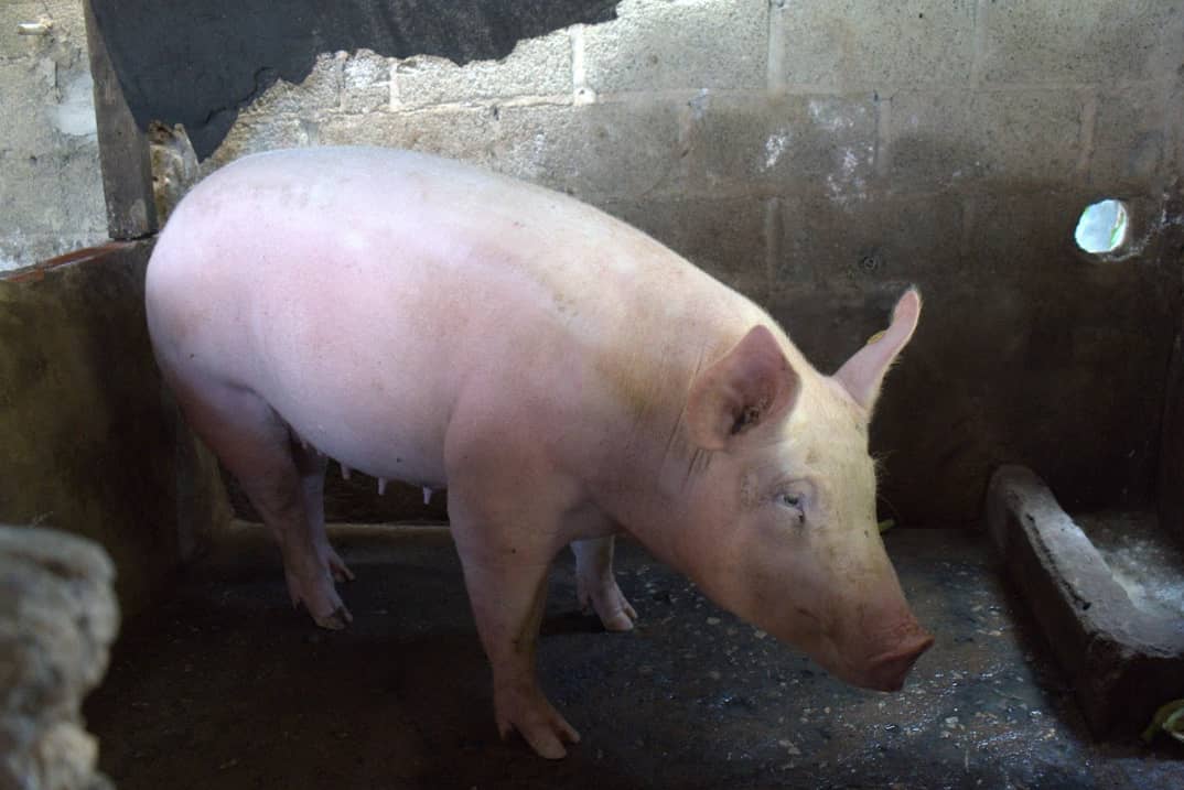 Captura de pantalla 2024-12-10 161144.png