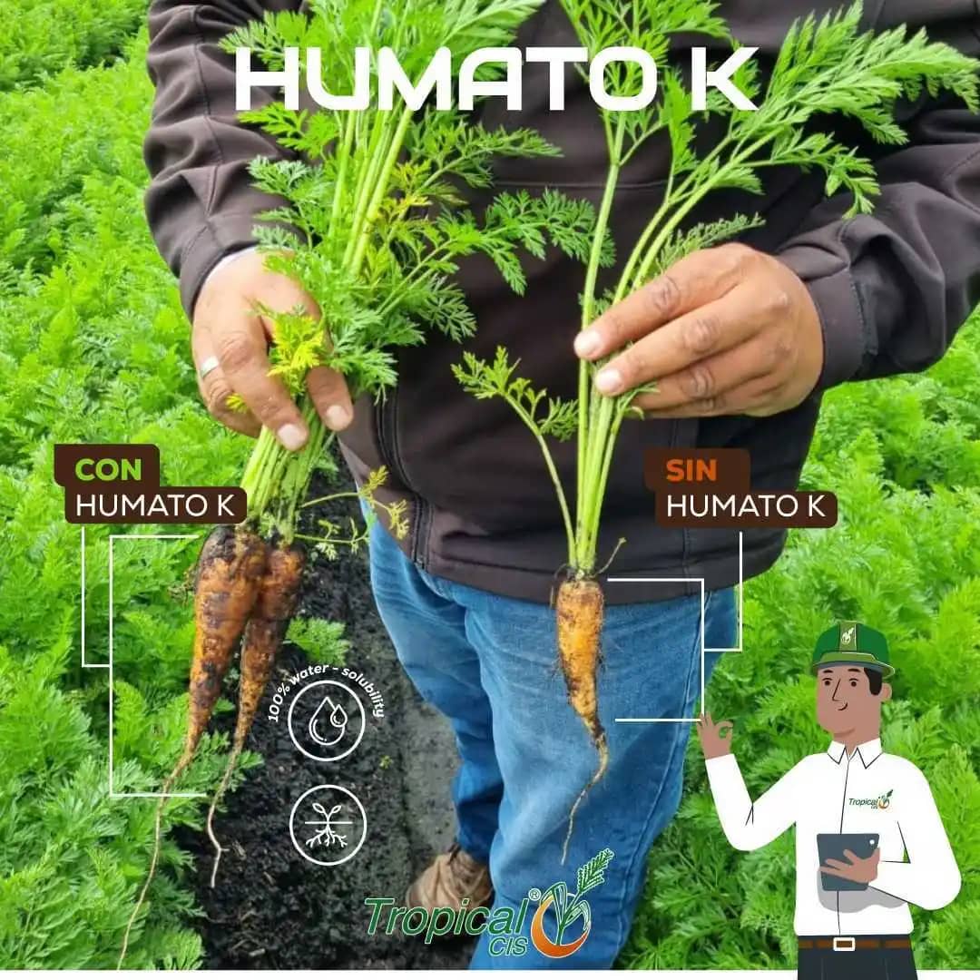 Acondicionador Humato K - Humato de Potasio x 1 Kg
