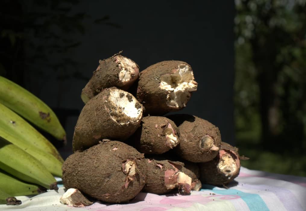 Captura de pantalla 2024-12-11 094901.png