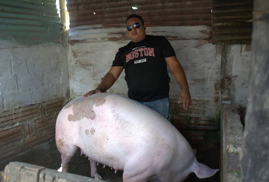 Captura de pantalla 2024-12-20 125131.png