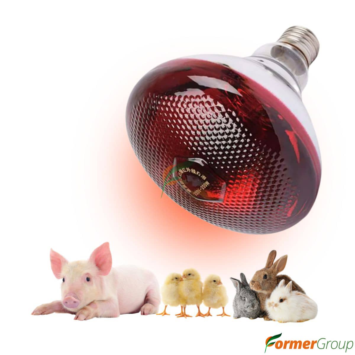 Bombilla infrarroja 110V para lechones