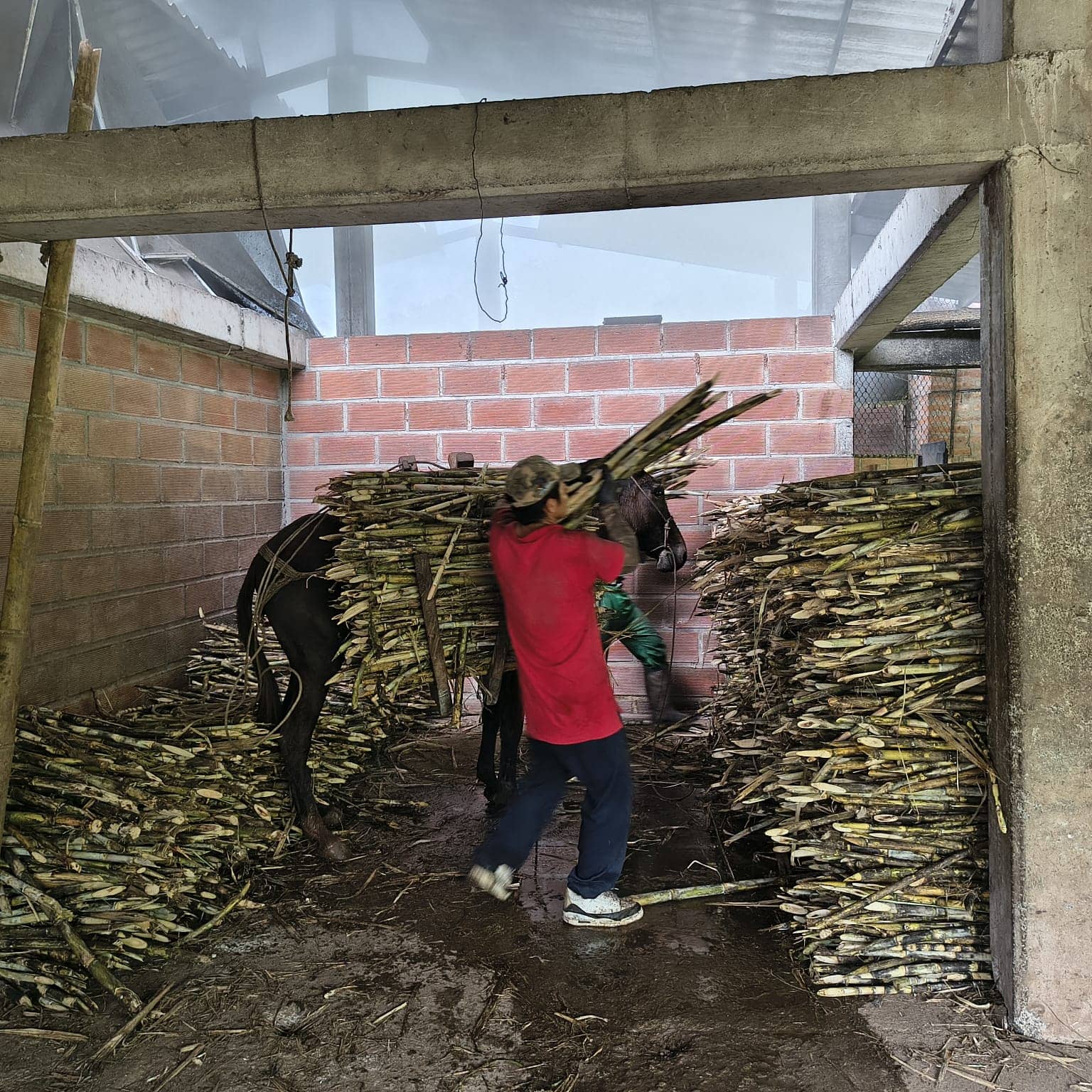 WhatsApp Image 2026-02-13 at 10.58.24 AM.jpeg