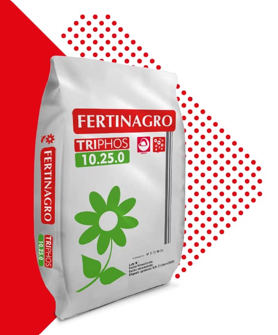 Fertiizante Triphos 10-25 x 50 Kg - Manuchar