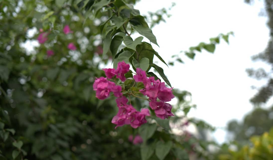 Captura de pantalla 2024-12-20 095619.png