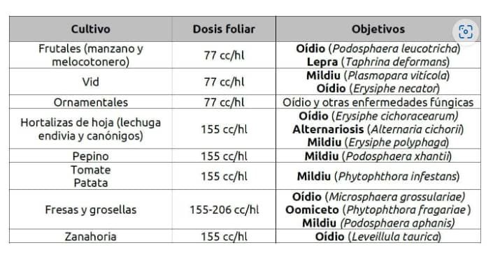 Fungicida Maxitina® x 1lt