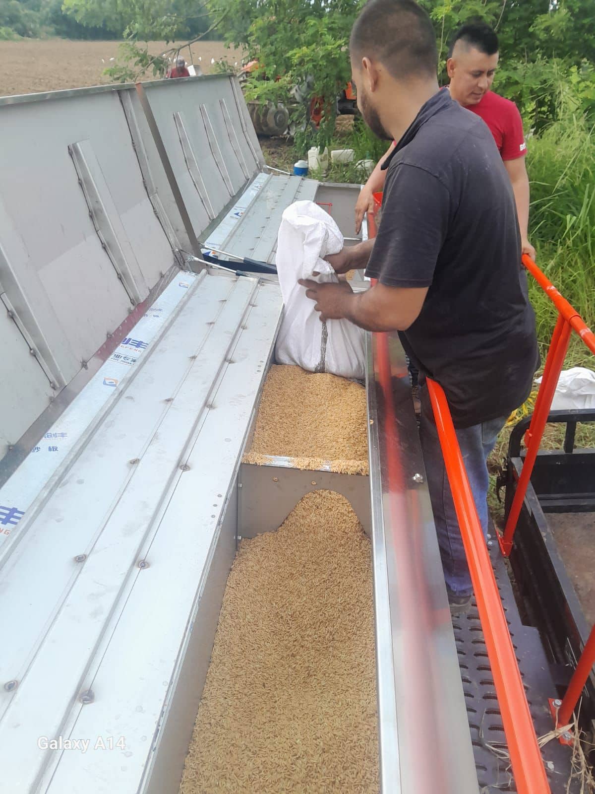 SEMBRADORA DE ARROZ