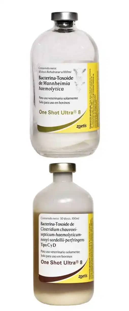 Vacuna One shot ® ultra 8 x 50 dosis - Zoetis