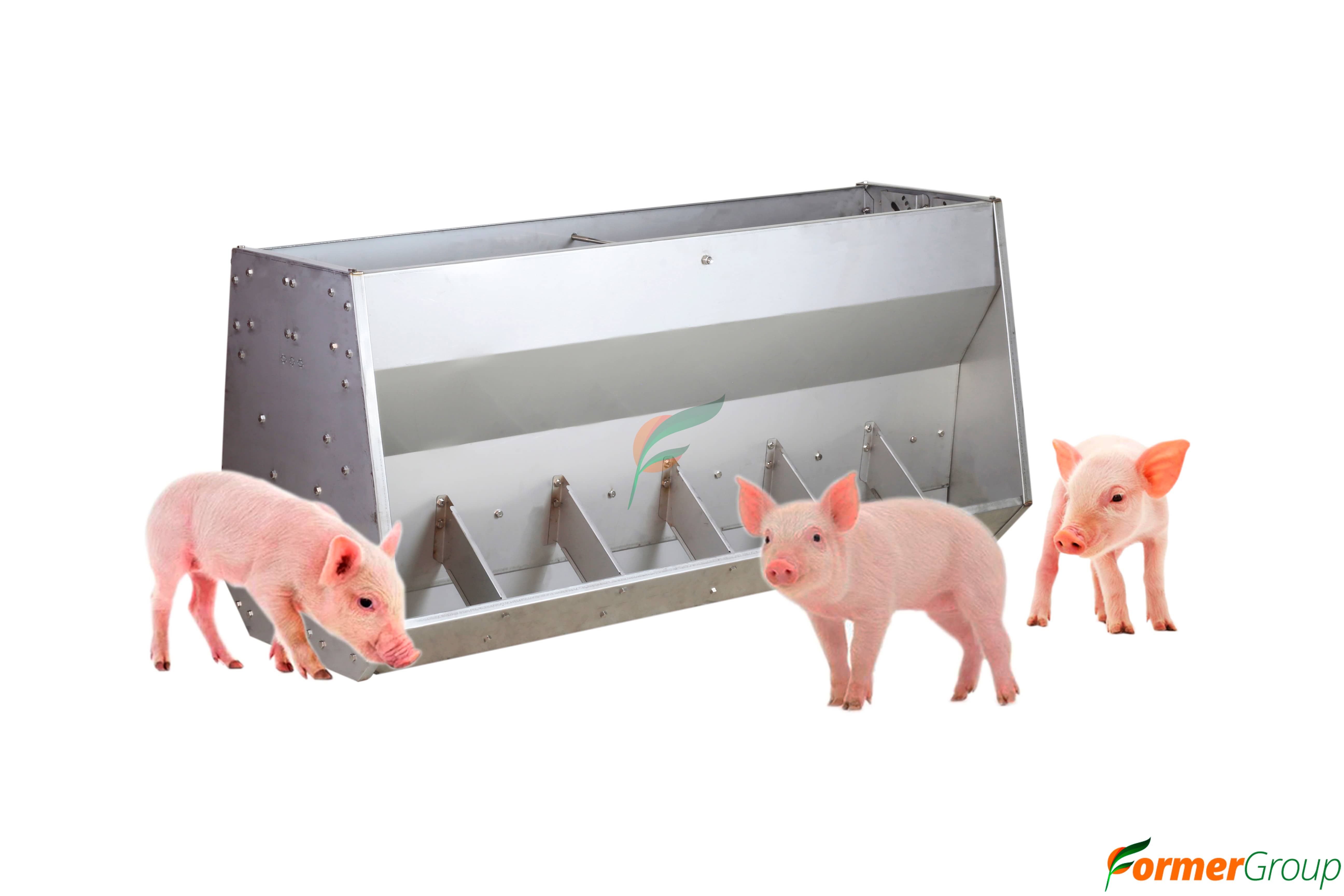 Comedero 12 puestos cerdos: manejo eficiente