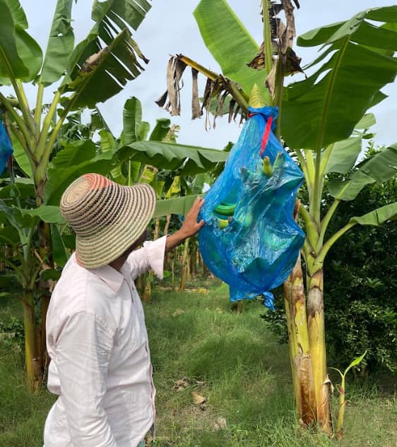 Captura de pantalla 2024-12-19 153316.png