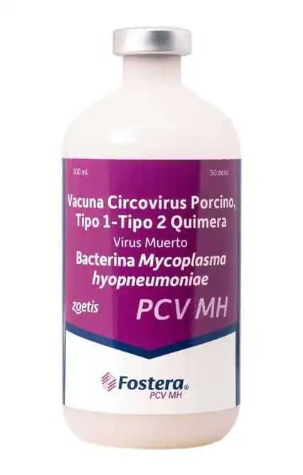 Vacuna Fostera® pcv mh x 100ml - Zoetis