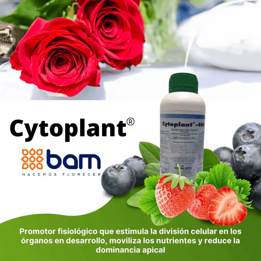 Bioestimulante Cytoplant 400, B. 0.1 X Litro